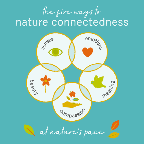 The five pathways to nature connectedness: senses, emotions, beauty, meaning, compassion