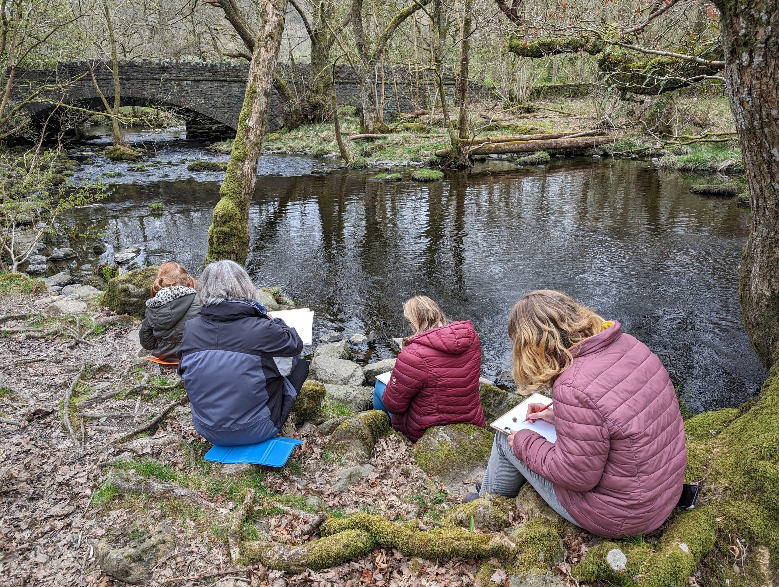 Creative Wellbeing: Nature Doodling at Wild Haweswater <br> at nature's pace