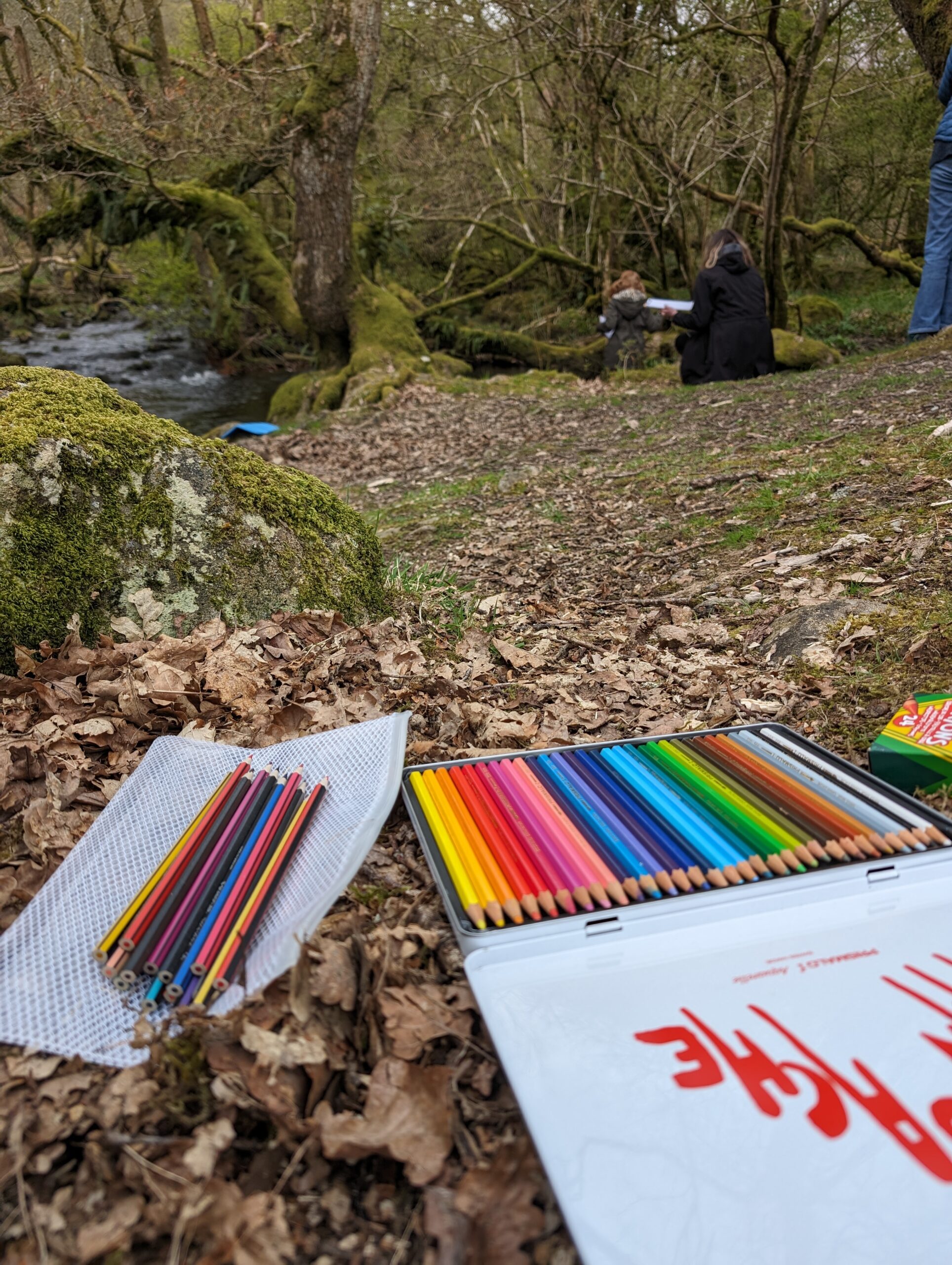 Creative Wellbeing: Nature Doodling at Wild Haweswater <br> at nature's pace - Image 3