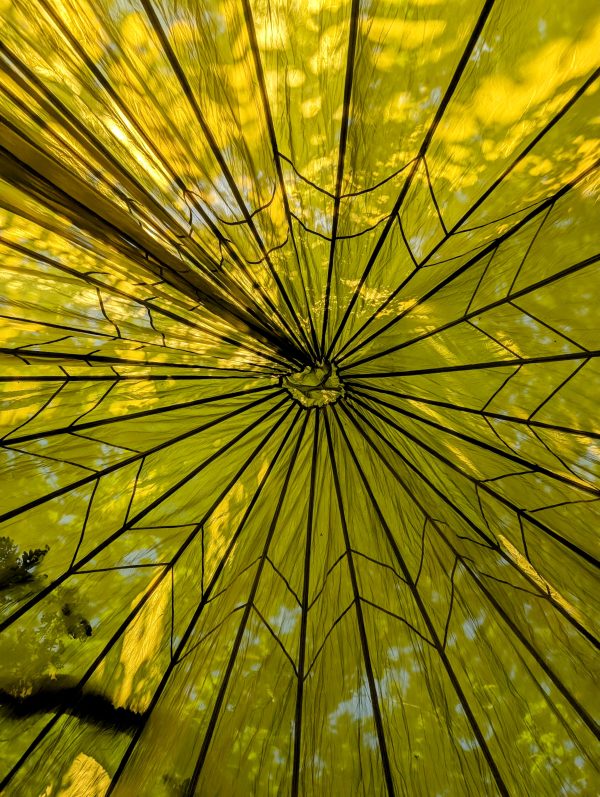 WILD HEART: Women's Wilderness Therapy Woodland Retreat - Image 4